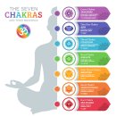 차크라 이미지