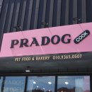 프라독 쿡 이미지