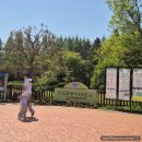 수목원 | 오산물향기수목원 나들이 후기 부부모임으로 다녀온 힐링 산책 코스