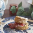 더비스킷스튜디오 이미지