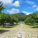 이목리 야구장 이미지