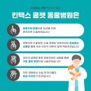 (주)쿨펫 이미지