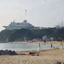 정동진대대