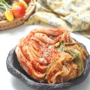 (12/15) 배추김치 담그기 | 김장 양념 레시피 육수 절임배추 10kg 담그기 배추김치 레시피