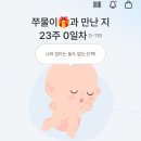 (유)신해피투어 | [임신] 임신 21-24주차/괌 태교여행/임신 중기 피비침/혈뇨/임산부 요로결석/임산부 타이레놀