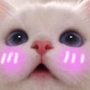 국물즉석떡볶이&화덕피자 이미지