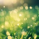 (주)대한환경개발 이미지