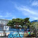 (주)지성글로벌 | 부산 BEXCO 국제포럼 동시통역 후기｜Water Positive Korea 2026 현장 기록