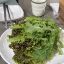 유성대로 1366번길 이미지