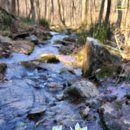 모데미풀 화장실 이미지