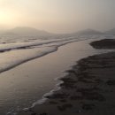증도면보건지소 네이버블로그