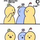 [대전] 2024 먹방 상반기 결산