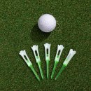 그린골프크리닉 이미지