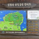 심항산 유아숲체험원 이미지