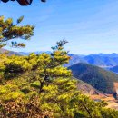 일연테마로드 이미지