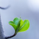 상용축산 이미지