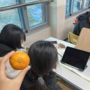 신원제 | 제목 소재 고갈 흥