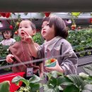 서인농장 이미지