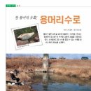 용머리낚시터 이미지