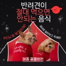 메종동물병원 이미지