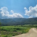 회천농장 이미지