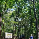 가야누비 | 광청종주 다녀왔어요. 광교산에서 청계산까지 22km 코스 후기