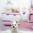 츄펫살롱 | 대전괴정동애견미용 츄펫살롱 후기