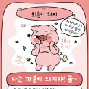 33돼지야 이미지