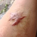 이승훈외과의원 이미지