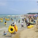 동해시-31 이미지