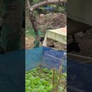 김일농장 이미지