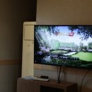 오케이골프연습장 이미지