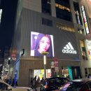 돈키호테 이미지