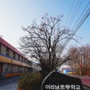 이리남초등학교 이미지