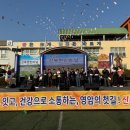 면민운동장 이미지