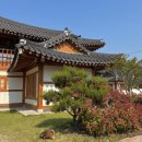 소당한옥펜션 | 경주애견동반숙소 경주 신라한옥호텔펜션 내돈내산 가성비 단체숙소