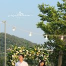 달그리고강 이미지