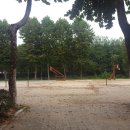 할매재첩국 Daum카페