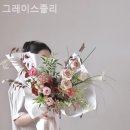 그레이스졸리