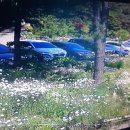 한재골 장어 이미지