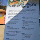 서산 유기방 가옥 수선화 축제, 봄꽃 여행 주말 꽃구경