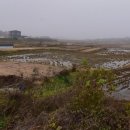 행정사오천조사무소 이미지