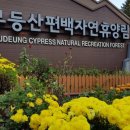 편백자연휴양림 네이버블로그