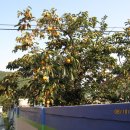 청도주유소 이미지