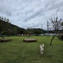 글램독통영 이미지