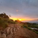 동트는농원 이미지