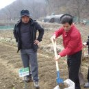 광진농장 이미지