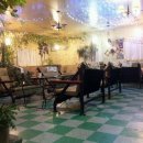 자등 4리 이미지