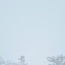 중문농협주유소 이미지