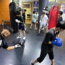 탑복싱클럽 이미지